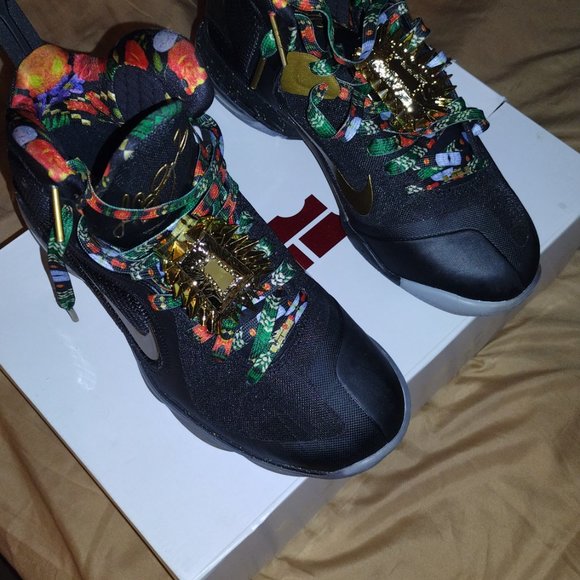 Lebron 9 watch the thrones